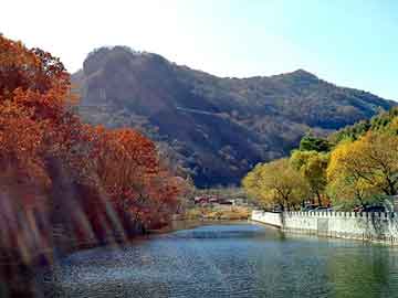 管家婆免费正版资起大全，泰安市泰师附小